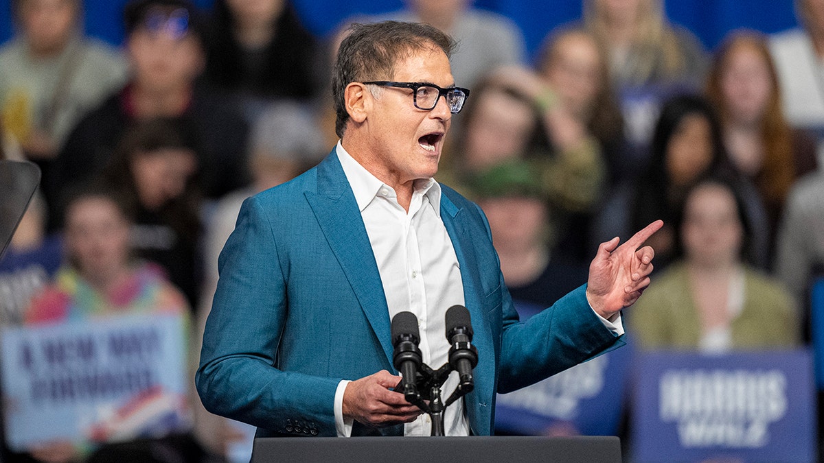 Mark Cuban speaks at a campaign rally for Vice President Kamala Harris in La Crosse, Wisconsin. Source: Fox News